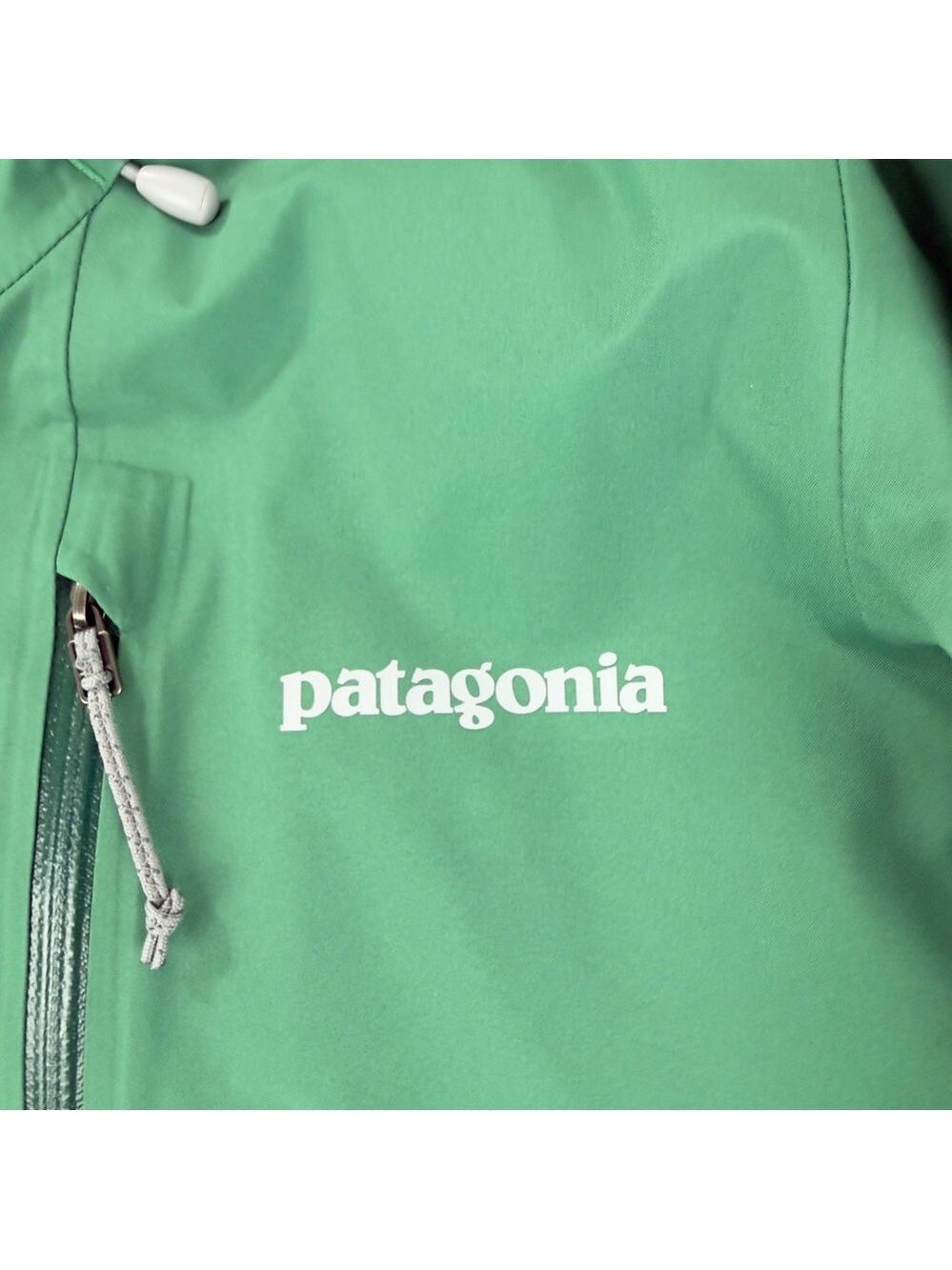 Patagonia NWT Women's Sz Small Calcite Gore-tex Green Jacket 84996 Style Number - Picture 13 of 16